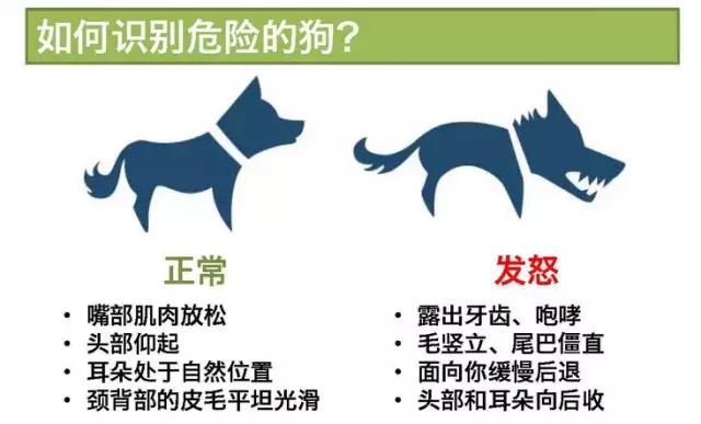 赤峰人请注意10人死亡！发病9020例！内蒙古发布最新传染病疫情报告...