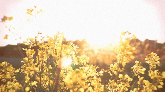 十首最美秋夜诗词,十首绝美夏天诗词大全