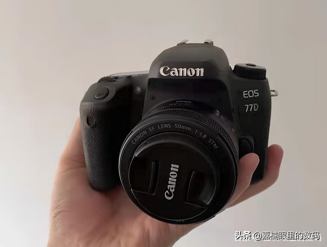 新手入门佳能哪一款相机比较好,佳能哪款相机推荐入手