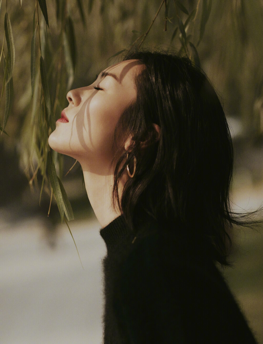 难怪代言要首选“三刘”，这3位的颜值和气质就没翻车过