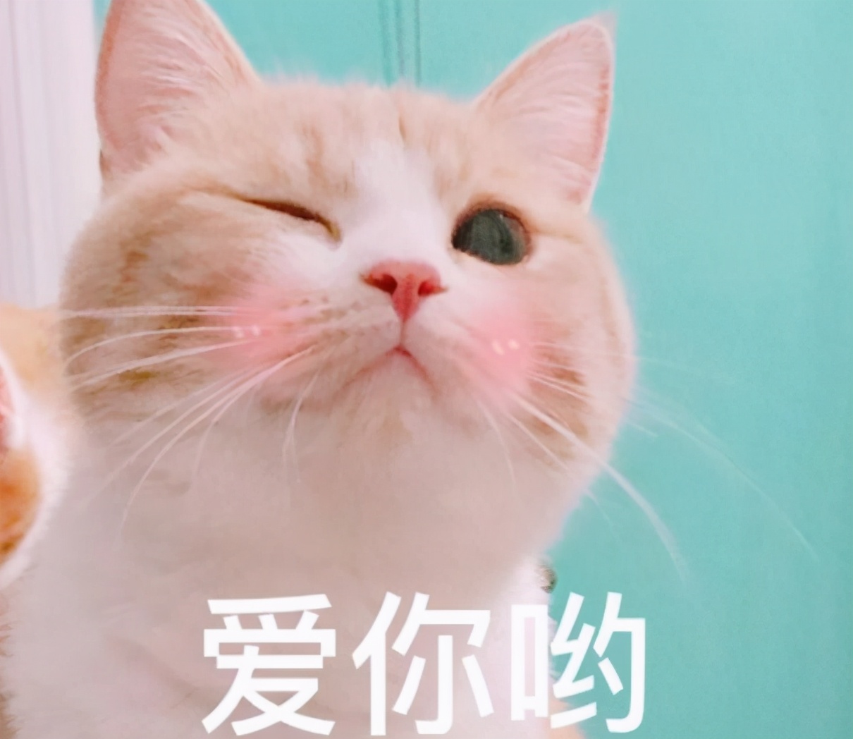 痴情小三曹诚英：爱上胡适，为其堕胎，终生未嫁