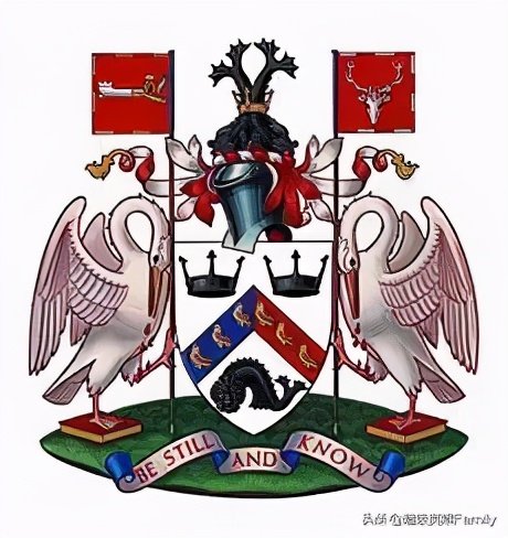 英国金史密斯学校怎么样,英国金史密斯学院纯艺术