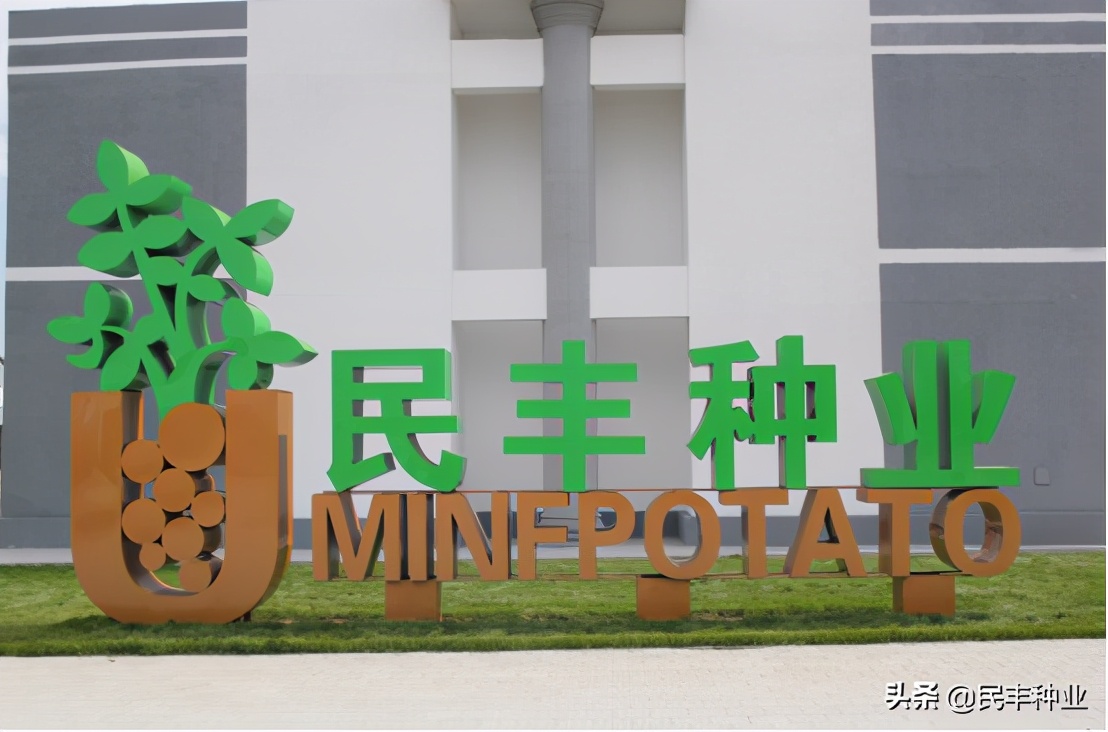 民丰马铃薯种业有限公司,内蒙古民丰种业有限公司