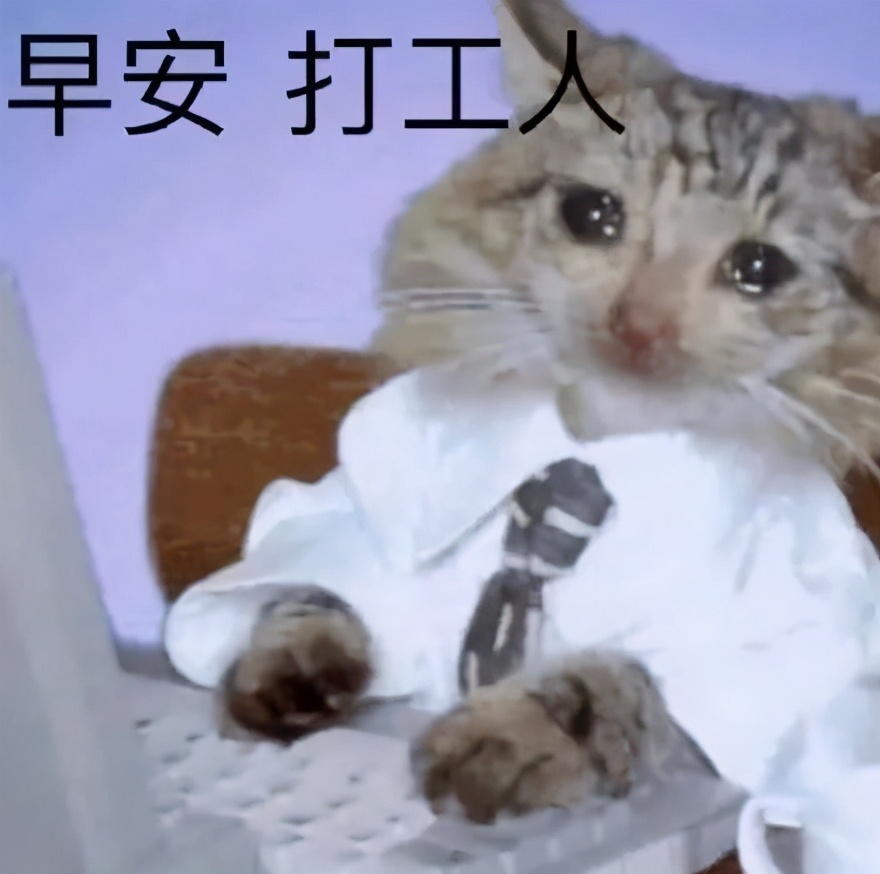 打工人励志吐槽,吐槽打工人生活小技巧