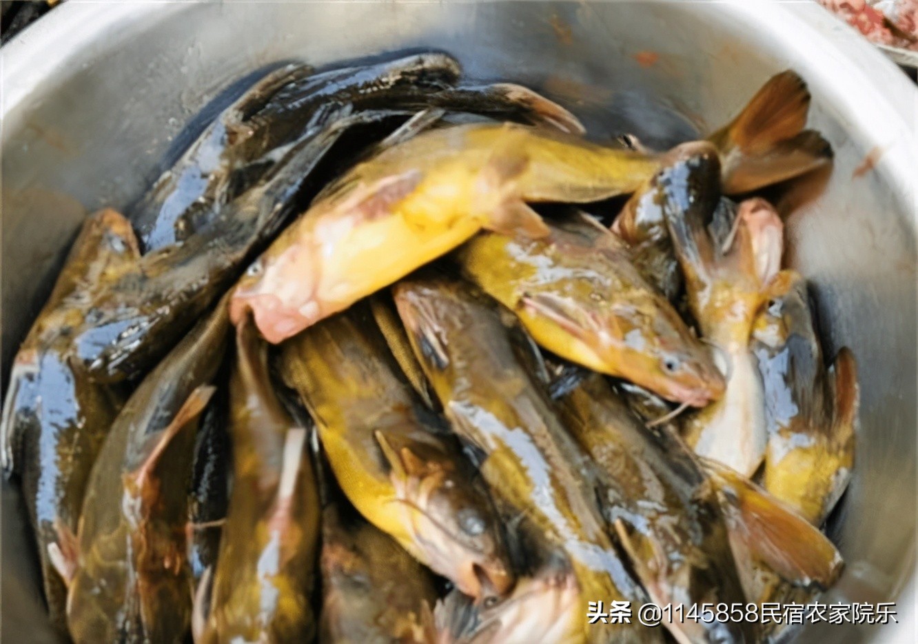 北京延庆农家餐厅,锦兴隆农家餐厅探店