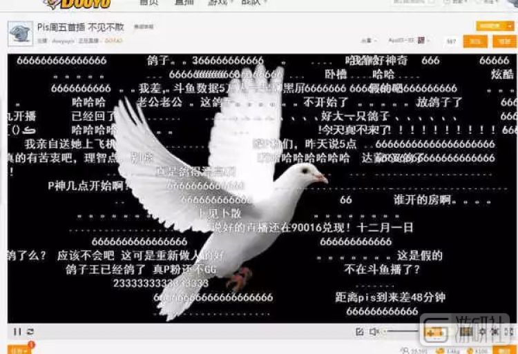 熊猫tv直播最新情况,熊猫tv去哪了