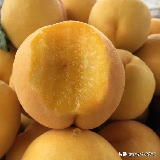 买的黄桃是黄的是假的吗,你买过假的果树吗