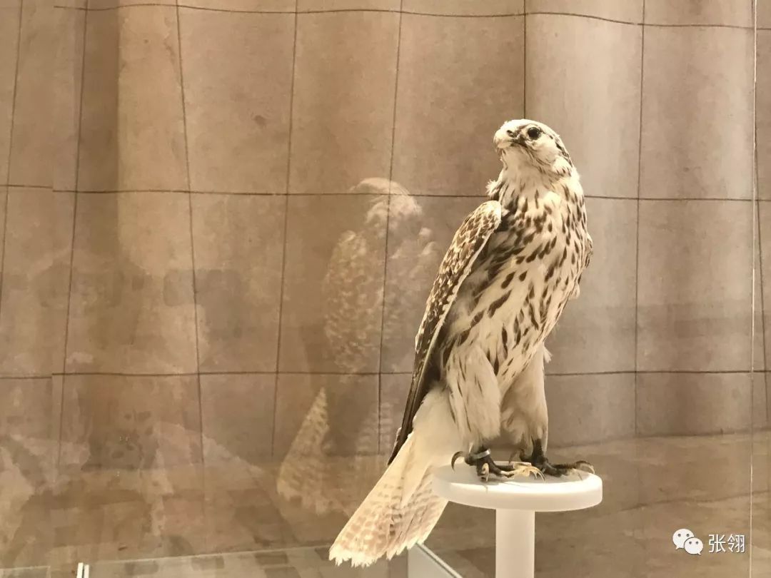 愉快的迪拜之旅,迪拜豪华商务之旅