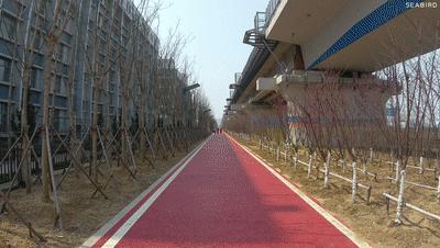 水下摄影4k,海鸟4k运动相机深度评测