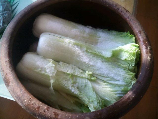 腌菜的腌菜坛子长霉是怎么了,腌菜发霉怎么处理