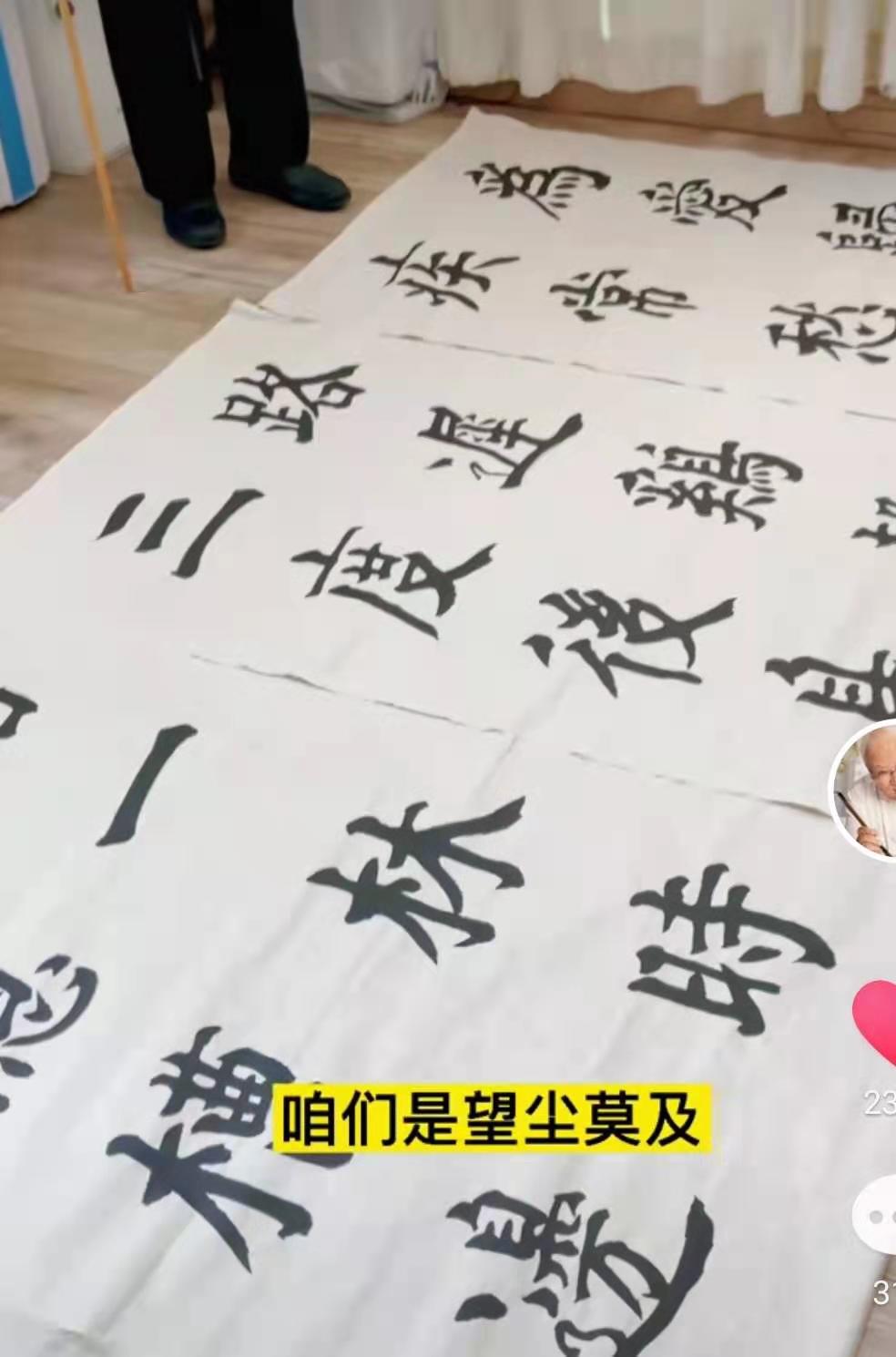 杨再春10幅书法解析,十大书法家杨再春行书