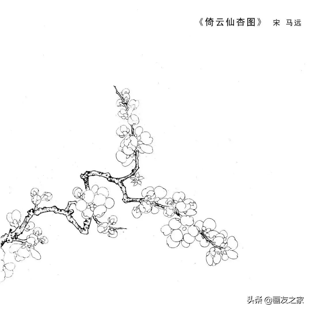 宋花鸟工笔画高清大图临摹过程,宋画工笔画花卉上色教程