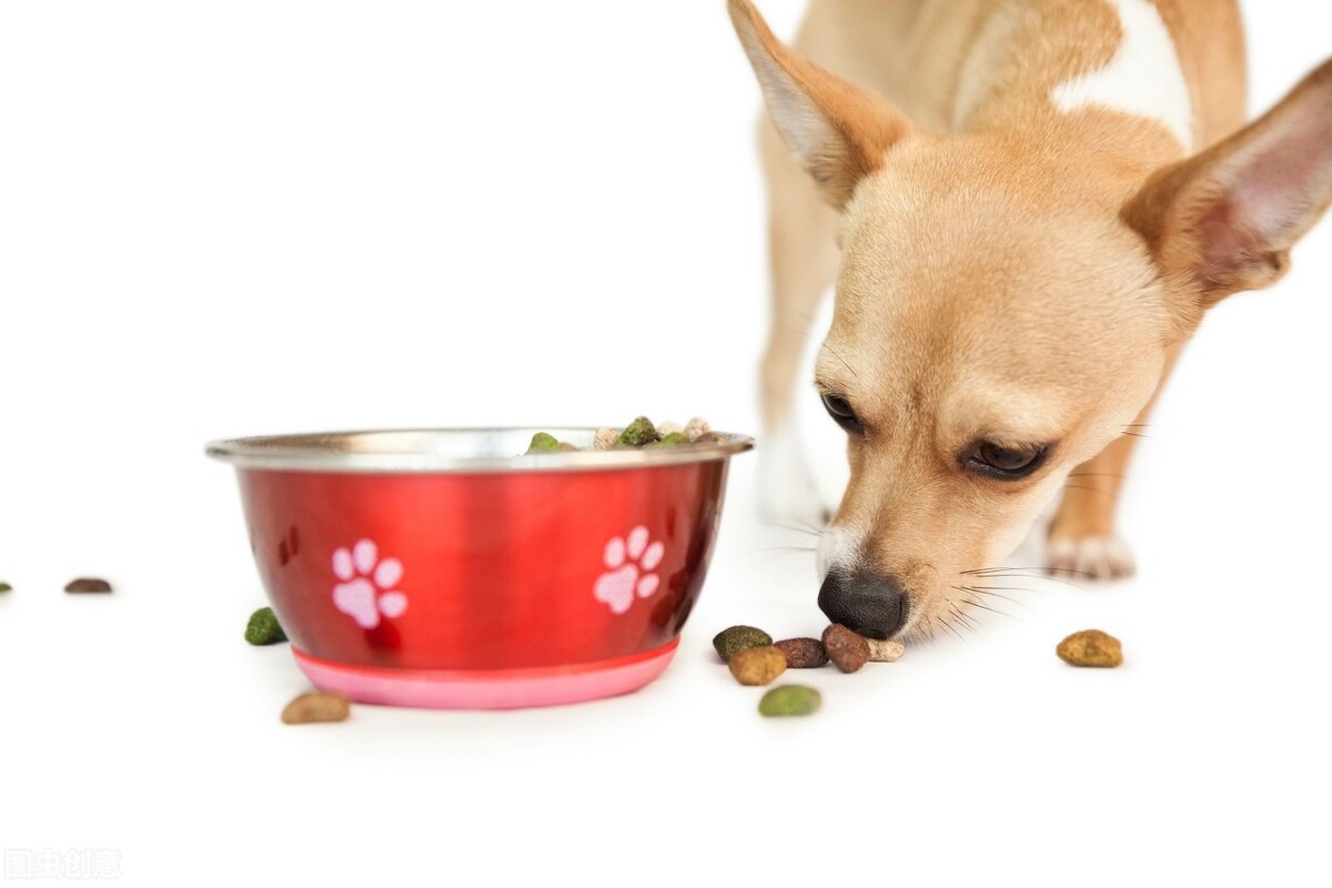 猫咪肠胃不好合适什么猫粮,猫咪放屁很臭是肠胃不好吗