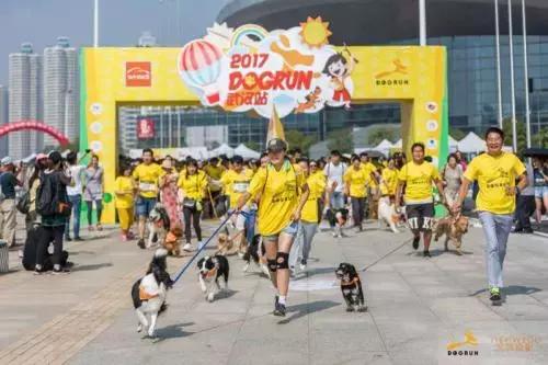 开宠物店一年能赚多少钱,开宠物店一个月能赚多少