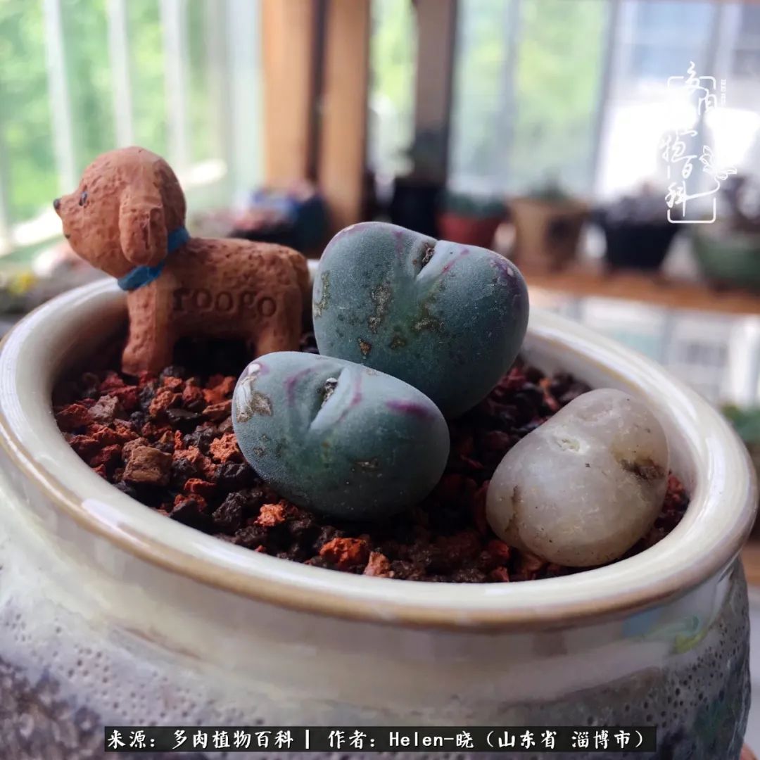人到中年温暖如初,人到中年岁月静好