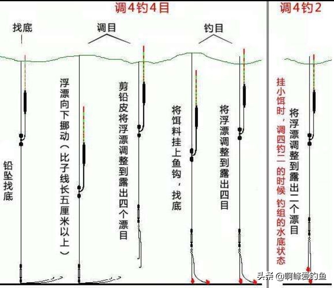 野钓知识大全，新手福音，初钓者必须了解的一些知识，收藏吧！