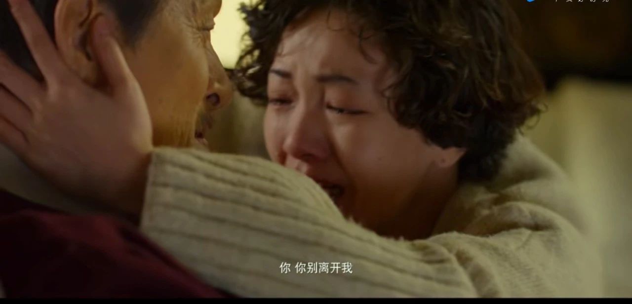郭采洁喜宝免费观看完全版,喜宝郭采洁假如爱真的存在