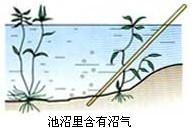 化学中考总复习12单元化学与生活,初中化学第十二单元知识点归纳