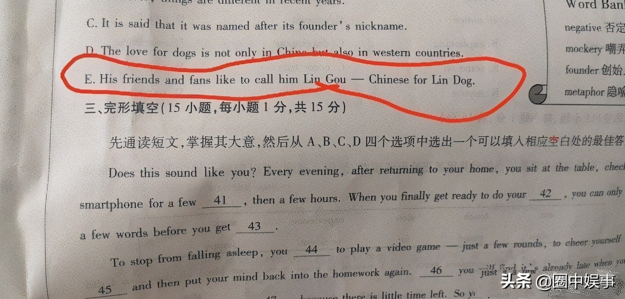 林狗为什么是林更新,林狗林更新怎么来的