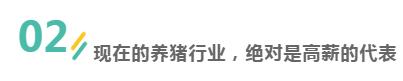 年薪30万，越来越多的大学生，毕业后去养猪