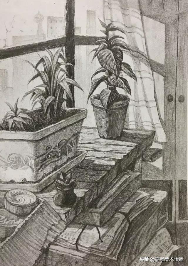 清华美院素描静物,清华美院高考素描