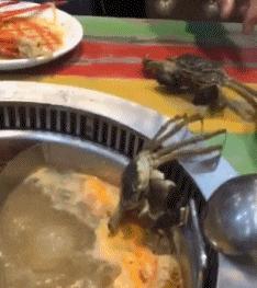 在野外发现甘蔗,在山里发现甘蔗