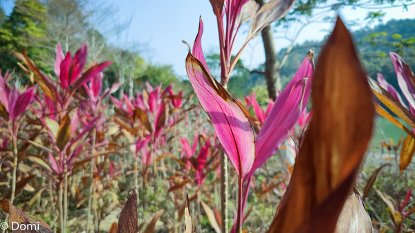 藏于山沟沟里的度假胜地,隐藏在大山里的度假圣地