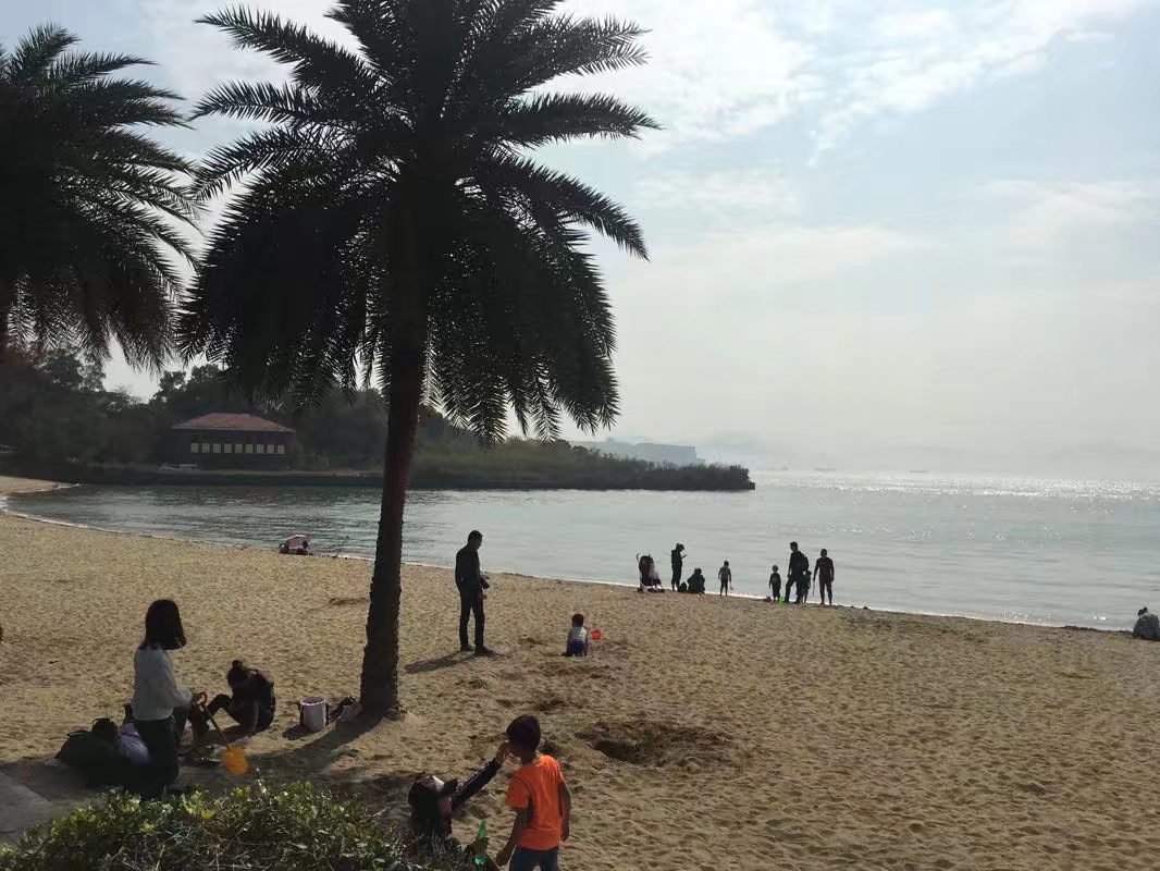 合适一个人去走走的厦门,人生最好的旅途就是经历的人和事