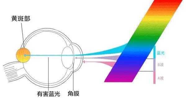 不伤眼睛显示器调整最佳参数,什么显示器保护眼睛