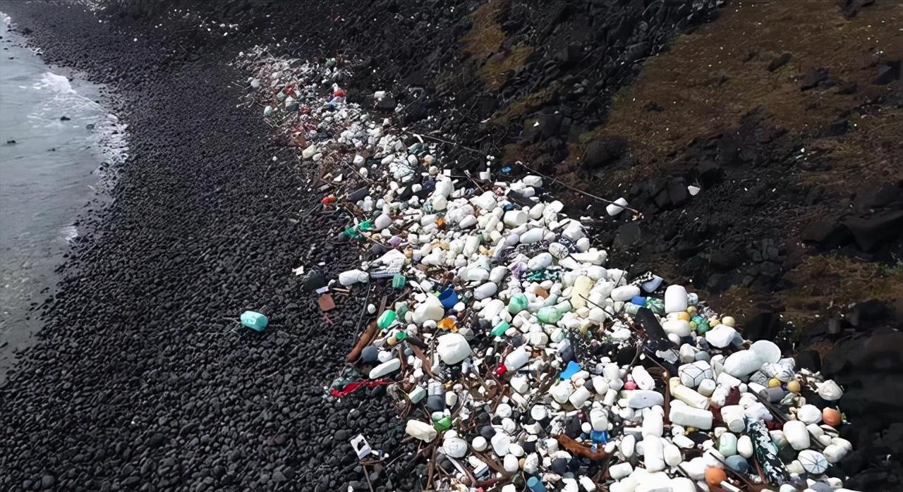 下潜海底1万米会看到什么,下潜海底10000米你将看到什么