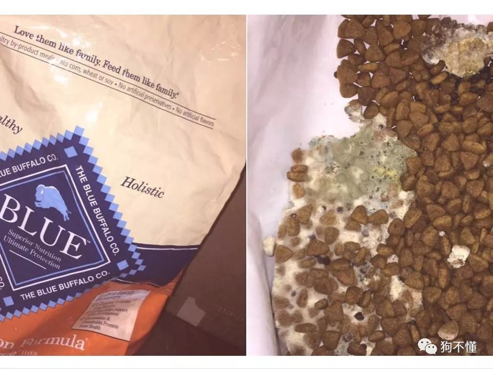 过期临期狗粮回收,临期过期食品能够吃吗