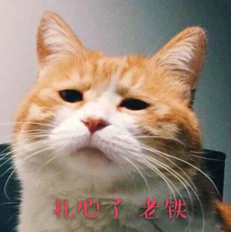 7大高效背单词方法,世界公认最科学背单词方法