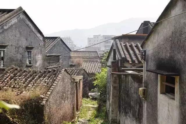 珠海市的古镇古村落,珠海最值得打卡的三大古村