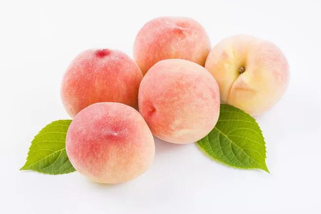 水蜜桃桃胶功效与功能,水蜜桃罐头的功效与功能