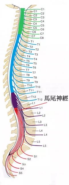 走不了远路，千万别大意，可能是神经通道“堵”了