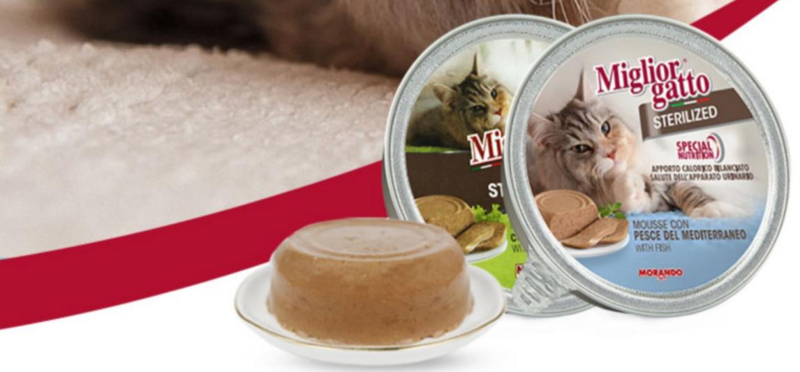 猫主食罐头品牌推荐,哪个品牌的主食猫罐头好