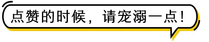 洛阳最近破获大案,洛阳最近破获特大案件