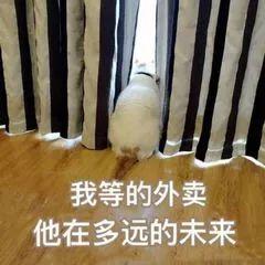 深圳今年过年外卖单多吗,深圳春节外卖单价