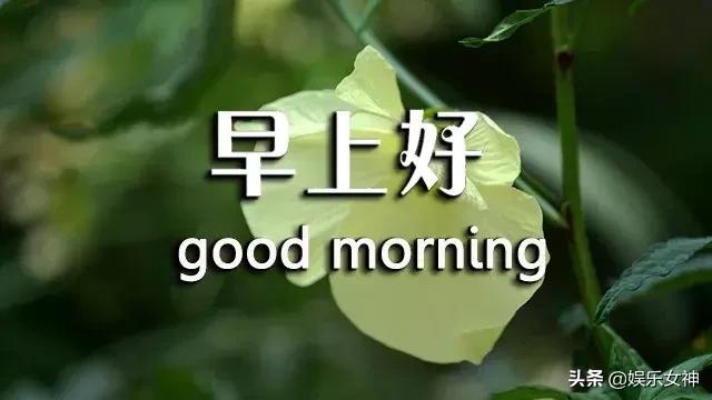 周三问候语简单幽默,早上短信问候语温馨正能量