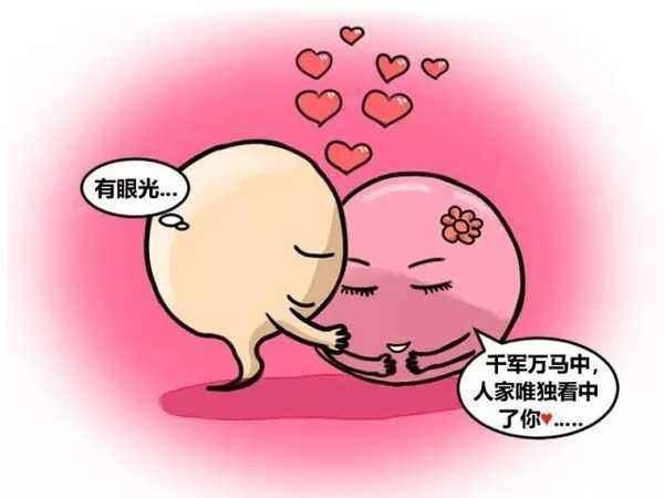 没有告捷遇上卵子的那些精子都到哪里去了？看完你就涨知识了