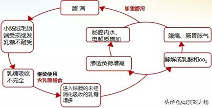 腹泻宝宝该怎么吃乳糖酶和益生菌,腹泻奶粉转奶要服用乳糖酶吗