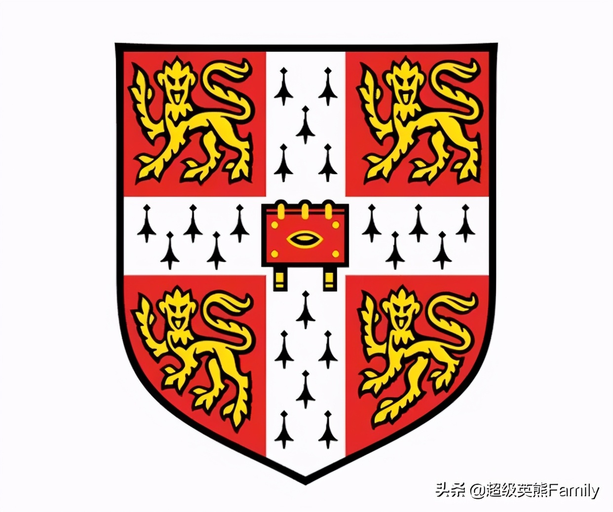 英国金史密斯学校怎么样,英国金史密斯学院纯艺术