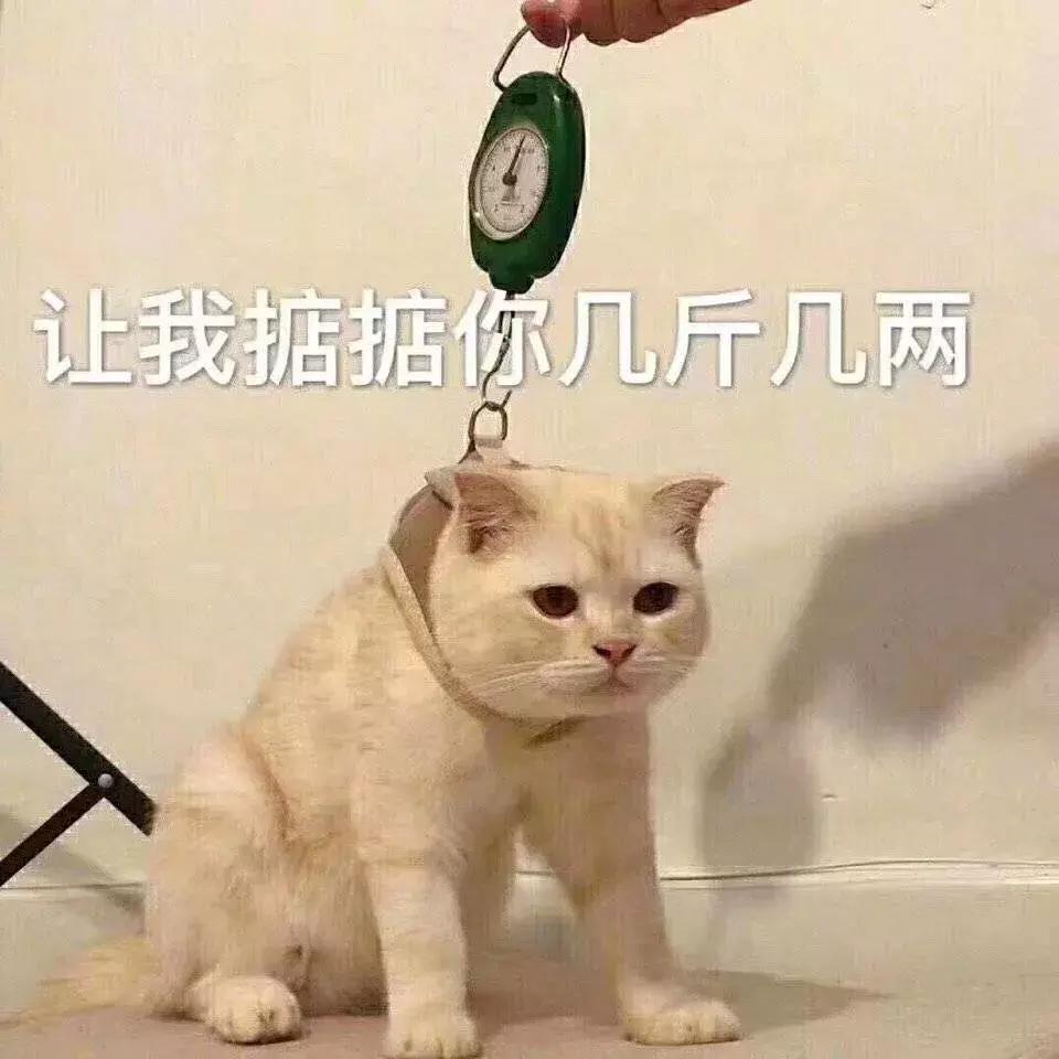 卖保健品100多被查,深圳一药企涉嫌销售假药被罚400元