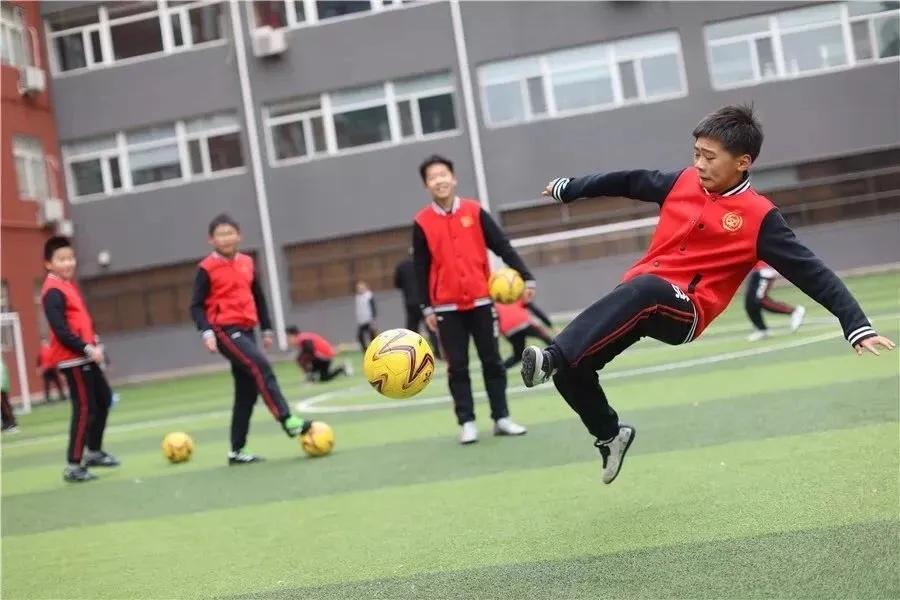 真正为孩子学习量身定制,给孩子制定的最佳方案