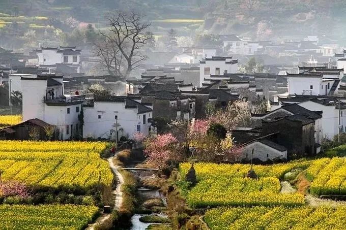 婺源旅游全攻略自由行,婺源旅游攻略一日游自由行