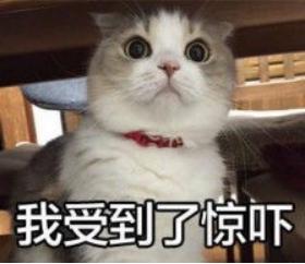 猛虎落泪，痔疮手术真难熬