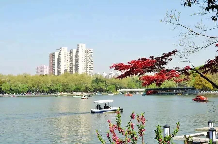 上海站到上海新国际博览中心地铁,上海地铁沿线景点排名