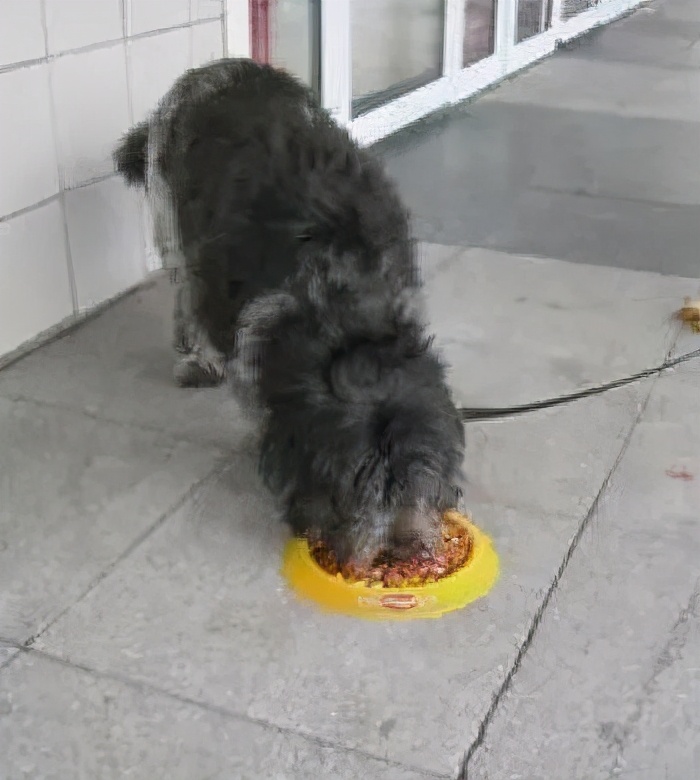 优秀有创意的户外广告,史上最有创意的户外广告合集