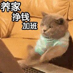 市场部门和经营部门哪个好,市场部属于销售费用吗
