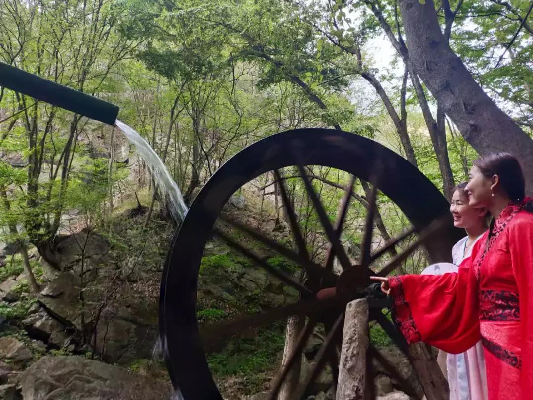 南阳西峡老君洞大锅菜,有哪些合适多人吃的大锅菜